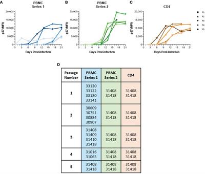 Adaptation of SIVmac to baboon primary cells results in complete absence of in vivo baboon infectivity